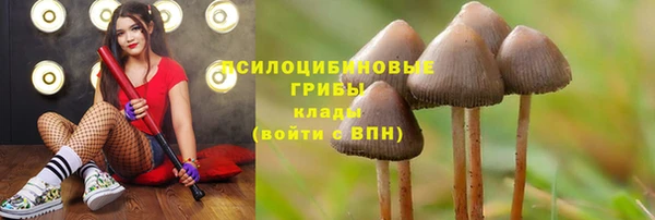 каннабис Белокуриха